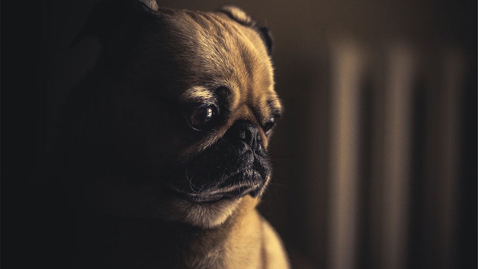 Read This Guy's Burnout Story and Why's He's Leaving the Tech Industry