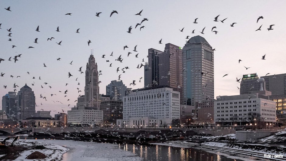 Your Guide to Finding Startup Funding in Columbus