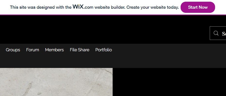 A wix ad appearing at the top of my free plan preview. Source: Tech.co