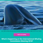 WDC Email Marketing Example