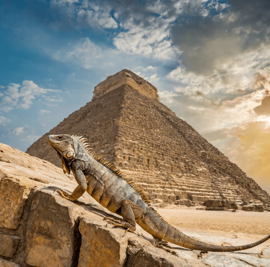 Adobe Firefly Iguana Pyramid