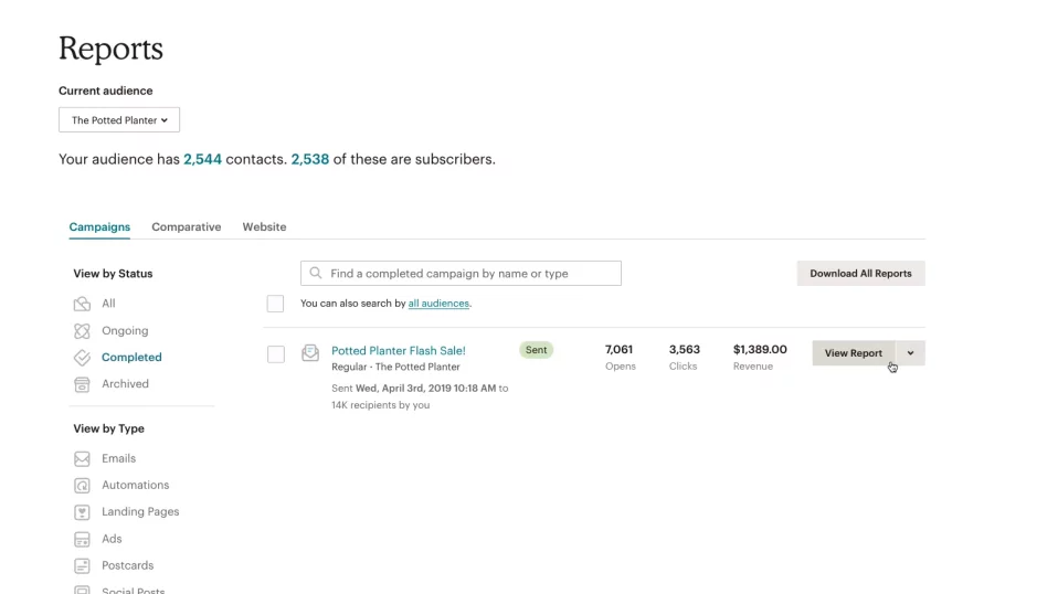 Mailchimp Reports
