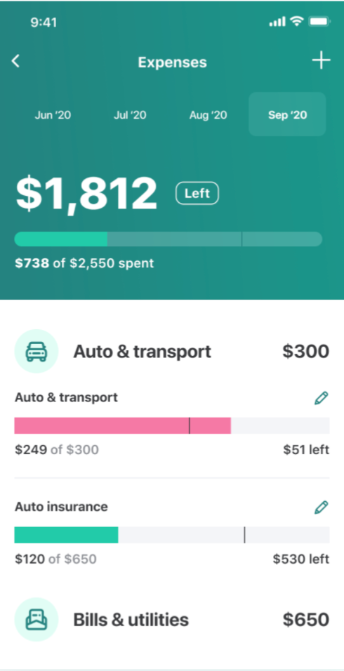 Mint Interface