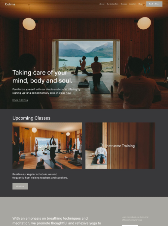 Squarespace Template Colima